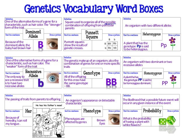 Genetic Makeup Of An Organism Classy Introduction To Genetics PowerPoint Genetic Makeup Of An Organism Classy Introduction To Genetics PowerPoint
