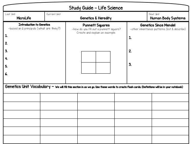 Printables Introduction To Genetics Worksheet introduction to genetics powerpoint introduction