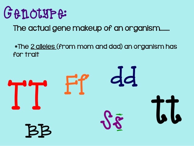 Genetic Makeup Of An Organism Delectable Introduction To Genetics PowerPoint Genetic Makeup Of An Organism Delectable Introduction To Genetics PowerPoint