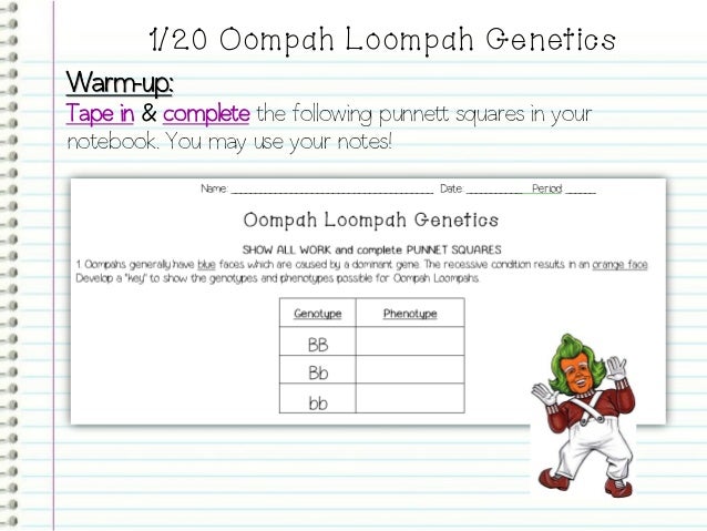 Introduction To Genetics PowerPoint
