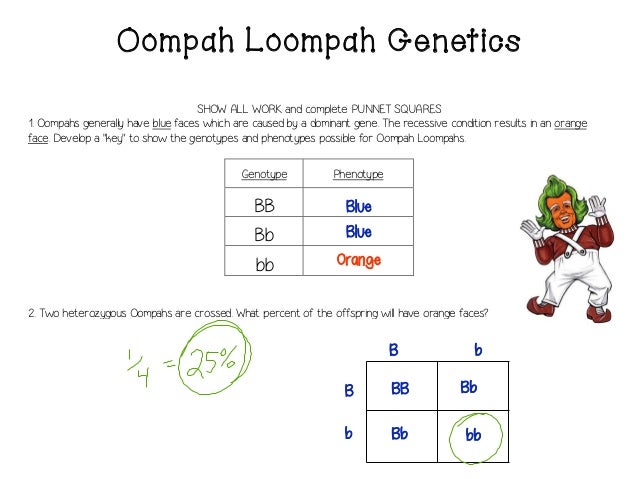 Worksheets Introduction To Genetics Worksheet introduction to punnett squares worksheet 7th heredity genetics 10 13