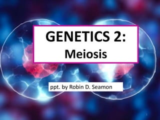 GENETICS 2:
Meiosis
ppt. by Robin D. Seamon
1
 