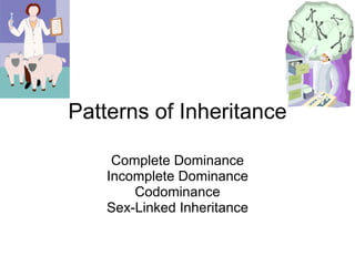 Patterns of Inheritance Complete Dominance Incomplete Dominance Codominance Sex-Linked Inheritance 