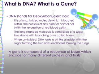 What is DNA? What is a Gene?

•   DNA stands for Deoxyribonucleic acid
     •   It is a long, twisted molecule which is located
         within the nucleus of any plant or animal cell
         (with the exception of red blood cells)
     •   The long stranded molecule is composed of a sugar
         backbone with branching arms called bases
     •   When un-twisted, DNA looks a bit like a ladder with the
         sugar forming the two sides and bases forming the rungs


•   A gene is composed of a sequence of bases which
    encode for many different proteins and traits
 