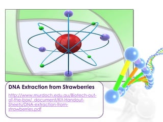 DNA Extraction from Strawberries
http://www.murdoch.edu.au/Biotech-out-
of-the-box/_document/Kit-Handout-
Sheets/DNA-extraction-from-
strawberries.pdf
 