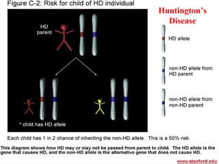 Huntington’s Disease 