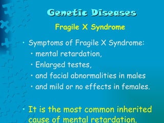 Genetic Diseases Fragile X Syndrome Symptoms of Fragile X Syndrome:  mental retardation,  Enlarged testes,  and facial abnormalities in males  and mild or no effects in females.  It is the most common inherited cause of mental retardation. 