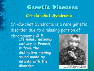 Genetic Diseases Cri-du-chat Syndrome Cri-du-chat Syndrome is a rare genetic disorder due to a missing portion of chromosome # 5.  Its name, meaning  cat cry  in French, is from the distinctive mewing sound made by infants with the disorder.   