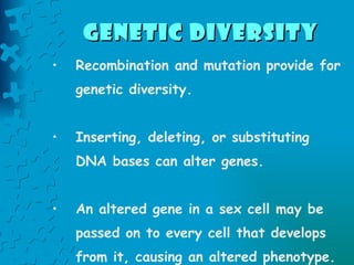 Genetic Diversity   Recombination and mutation provide for genetic diversity.   Inserting, deleting, or substituting DNA bases can alter genes.  An altered gene in a sex cell may be passed on to every cell that develops from it, causing an altered phenotype. 