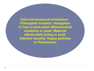 Extra-chromosomal Inheritance :
Chloroplast mutation: Variegation
in Four o’clock plant; Mitochondrial
mutations in yeast; Maternal
effects-shell coiling in snail;
Infective heredity- Kappa particles
in Paramecium
 
