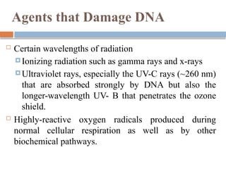 nucleic acid structure and its function. | PPTX