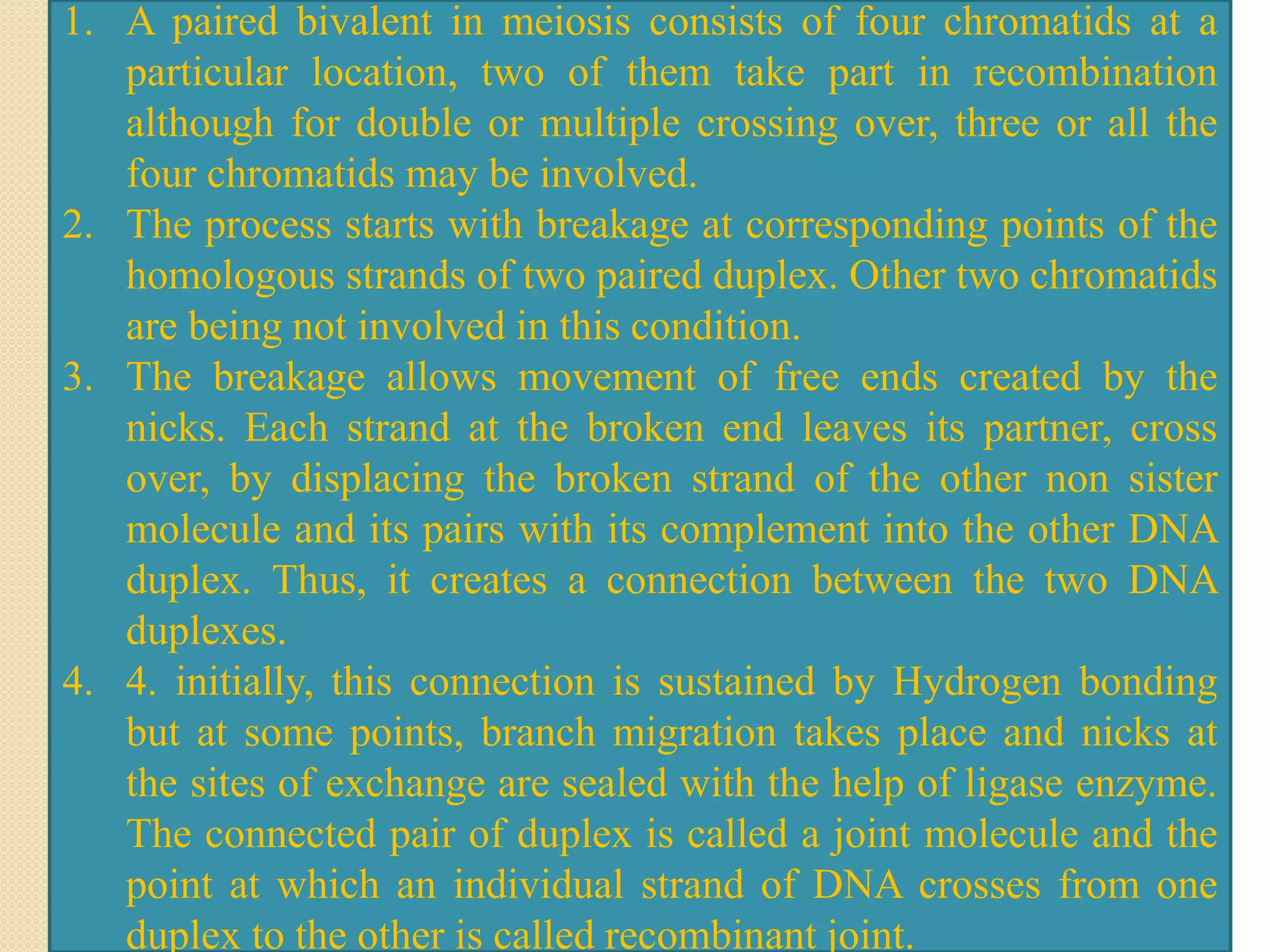 1. A paired bivalent in meiosis consists of four chromatids at a
particular location, two of them take part in recombination
although for double or multiple crossing over, three or all the
four chromatids may be involved.
2. The process starts with breakage at corresponding points of the
homologous strands of two paired duplex. Other two chromatids
are being not involved in this condition.
3. The breakage allows movement of free ends created by the
nicks. Each strand at the broken end leaves its partner, cross
over, by displacing the broken strand of the other non sister
molecule and its pairs with its complement into the other DNA
duplex. Thus, it creates a connection between the two DNA
duplexes.
4. 4. initially, this connection is sustained by Hydrogen bonding
but at some points, branch migration takes place and nicks at
the sites of exchange are sealed with the help of ligase enzyme.
The connected pair of duplex is called a joint molecule and the
point at which an individual strand of DNA crosses from one
duplex to the other is called recombinant joint.
 