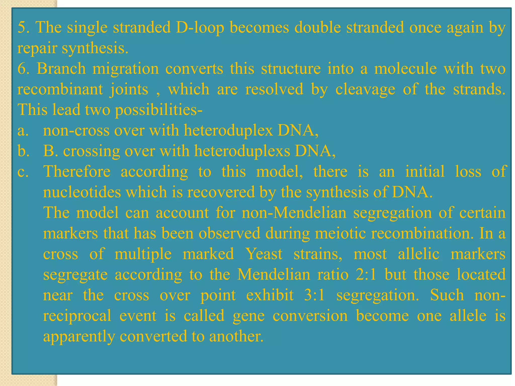 5. The single stranded D-loop becomes double stranded once again by
repair synthesis.
6. Branch migration converts this structure into a molecule with two
recombinant joints , which are resolved by cleavage of the strands.
This lead two possibilities-
a. non-cross over with heteroduplex DNA,
b. B. crossing over with heteroduplexs DNA,
c. Therefore according to this model, there is an initial loss of
nucleotides which is recovered by the synthesis of DNA.
The model can account for non-Mendelian segregation of certain
markers that has been observed during meiotic recombination. In a
cross of multiple marked Yeast strains, most allelic markers
segregate according to the Mendelian ratio 2:1 but those located
near the cross over point exhibit 3:1 segregation. Such non-
reciprocal event is called gene conversion become one allele is
apparently converted to another.
 