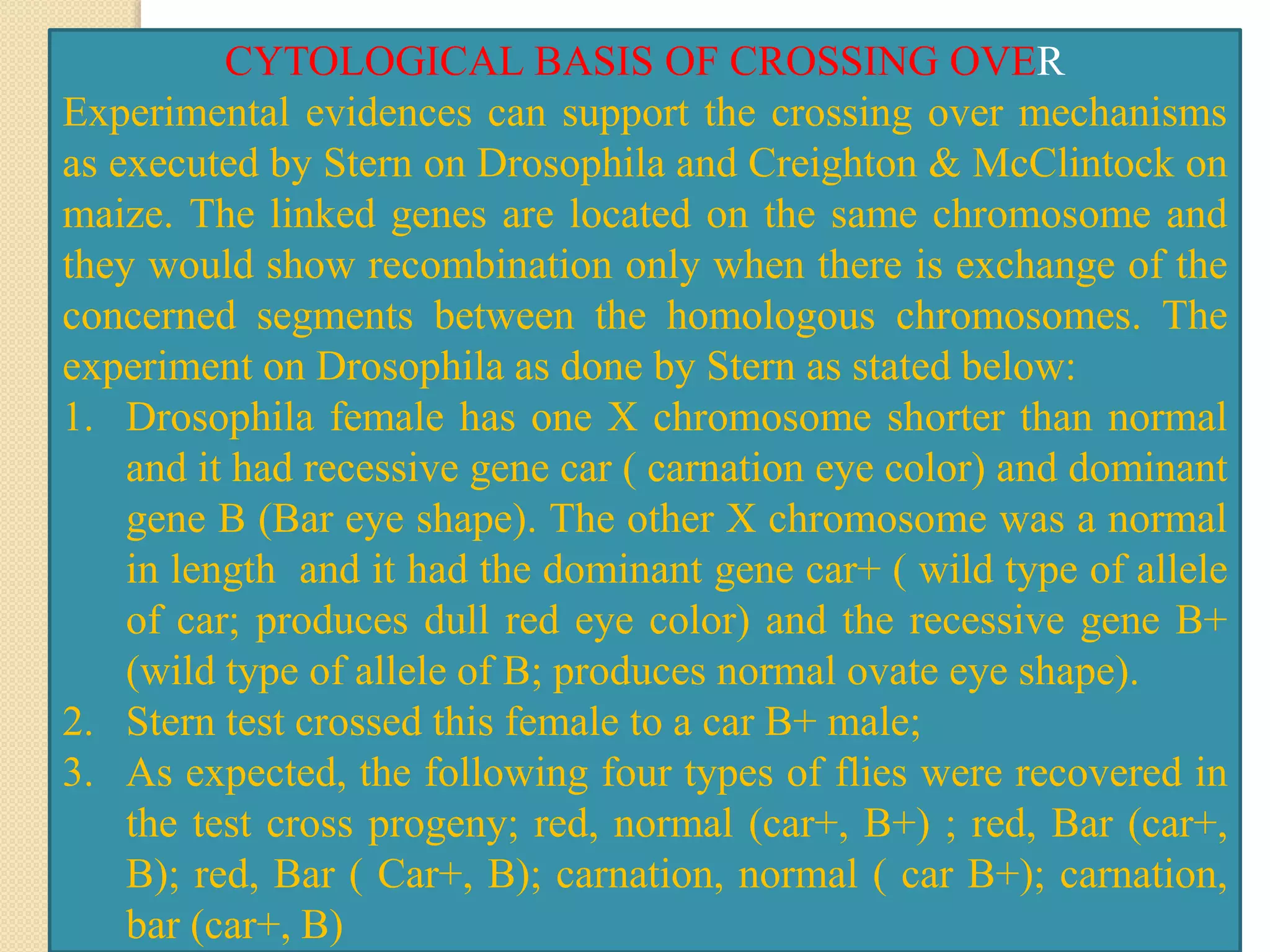 CYTOLOGICAL BASIS OF CROSSING OVER
Experimental evidences can support the crossing over mechanisms
as executed by Stern on Drosophila and Creighton & McClintock on
maize. The linked genes are located on the same chromosome and
they would show recombination only when there is exchange of the
concerned segments between the homologous chromosomes. The
experiment on Drosophila as done by Stern as stated below:
1. Drosophila female has one X chromosome shorter than normal
and it had recessive gene car ( carnation eye color) and dominant
gene B (Bar eye shape). The other X chromosome was a normal
in length and it had the dominant gene car+ ( wild type of allele
of car; produces dull red eye color) and the recessive gene B+
(wild type of allele of B; produces normal ovate eye shape).
2. Stern test crossed this female to a car B+ male;
3. As expected, the following four types of flies were recovered in
the test cross progeny; red, normal (car+, B+) ; red, Bar (car+,
B); red, Bar ( Car+, B); carnation, normal ( car B+); carnation,
bar (car+, B)
 