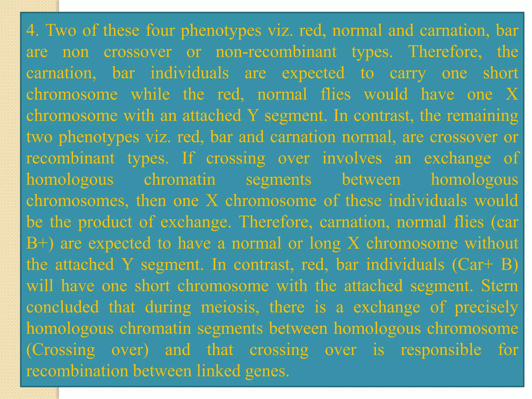 4. Two of these four phenotypes viz. red, normal and carnation, bar
are non crossover or non-recombinant types. Therefore, the
carnation, bar individuals are expected to carry one short
chromosome while the red, normal flies would have one X
chromosome with an attached Y segment. In contrast, the remaining
two phenotypes viz. red, bar and carnation normal, are crossover or
recombinant types. If crossing over involves an exchange of
homologous chromatin segments between homologous
chromosomes, then one X chromosome of these individuals would
be the product of exchange. Therefore, carnation, normal flies (car
B+) are expected to have a normal or long X chromosome without
the attached Y segment. In contrast, red, bar individuals (Car+ B)
will have one short chromosome with the attached segment. Stern
concluded that during meiosis, there is a exchange of precisely
homologous chromatin segments between homologous chromosome
(Crossing over) and that crossing over is responsible for
recombination between linked genes.
 