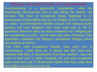 PRIMARY NON-DISJUNCTION OF X CHROMOSOME
Non-disjunction is a genetically irregularities when the
homologous chromosomes fain to pair during the meiotic cell
division. This kind of exceptional things happened in X-
chromosome in Drosophila that was by Bridges (1916). Normally,
the white –eyed Drosophila females crossed with red-eyed males
produce red eyed daughters and white eyed sons in the F1
generation. However, there are some exceptions in F1 offspring has
the unexpected eye color , red in males and white in females. This
appearance contradicts the Morgan’s assumption. Bridges solved
this problem as follows.
The white eyed exceptional females must carry two X
chromosomes , since their sex is female and they must have
inherited both their X chromosome from their mothers , since the
color of their eyes is white. Similarly, the red eyed exceptional
males must have one X chromosome which must have come from
their father since their eyes are red.
 