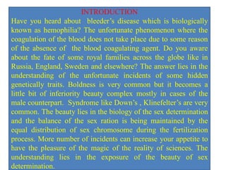 INTRODUCTION
Have you heard about bleeder’s disease which is biologically
known as hemophilia? The unfortunate phenomenon where the
coagulation of the blood does not take place due to some reason
of the absence of the blood coagulating agent. Do you aware
about the fate of some royal families across the globe like in
Russia, England, Sweden and elsewhere? The answer lies in the
understanding of the unfortunate incidents of some hidden
genetically traits. Boldness is very common but it becomes a
little bit of inferiority beauty complex mostly in cases of the
male counterpart. Syndrome like Down’s , Klinefelter’s are very
common. The beauty lies in the biology of the sex determination
and the balance of the sex ration is being maintained by the
equal distribution of sex chromosome during the fertilization
process. More number of incidents can increase your appetite to
have the pleasure of the magic of the reality of sciences. The
understanding lies in the exposure of the beauty of sex
determination.
 