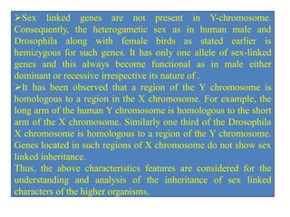Sex linked genes are not present in Y-chromosome.
Consequently, the heterogametic sex as in human male and
Drosophila along with female birds as stated earlier is
hemizygous for such genes. It has only one allele of sex-linked
genes and this always become functional as in male either
dominant or recessive irrespective its nature of .
It has been observed that a region of the Y chromosome is
homologous to a region in the X chromosome. For example, the
long arm of the human Y chromosome is homologous to the short
arm of the X chromosome. Similarly one third of the Drosophila
X chromosome is homologous to a region of the Y chromosome.
Genes located in such regions of X chromosome do not show sex
linked inheritance.
Thus, the above characteristics features are considered for the
understanding and analysis of the inheritance of sex linked
characters of the higher organisms.
 