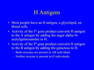 Genetics after Sir Mendel and mendelismppt | PPT