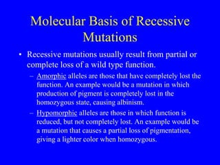 Genetics after Sir Mendel and mendelismppt | PPT
