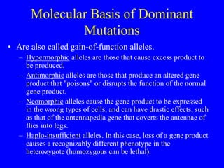 Genetics after Sir Mendel and mendelismppt | PPT
