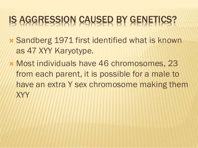 Genetic Effects Of Aggression | Childhood Aggression: Rooted in ...