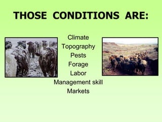 THOSE CONDITIONS ARE:
Climate
Topography
Pests
Forage
Labor
Management skill
Markets
 