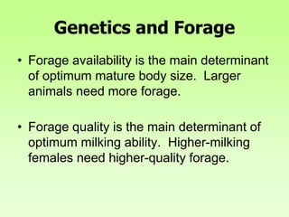 Genetics and Forage
• Forage availability is the main determinant
of optimum mature body size. Larger
animals need more forage.
• Forage quality is the main determinant of
optimum milking ability. Higher-milking
females need higher-quality forage.
 