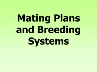 Mating Plans
and Breeding
Systems
 