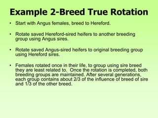 Example 2-Breed True Rotation
• Start with Angus females, breed to Hereford.
• Rotate saved Hereford-sired heifers to another breeding
group using Angus sires.
• Rotate saved Angus-sired heifers to original breeding group
using Hereford sires.
• Females rotated once in their life, to group using sire breed
they are least related to. Once the rotation is completed, both
breeding groups are maintained. After several generations,
each group contains about 2/3 of the influence of breed of sire
and 1/3 of the other breed.
 