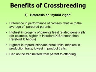 Benefits of Crossbreeding
1) Heterosis or “hybrid vigor”
• Difference in performance of crosses relative to the
average of purebred parents.
• Highest in progeny of parents least related genetically
(for example, higher in Hereford X Brahman than
Hereford X Angus)
• Highest in reproduction/maternal traits, medium in
production traits, lowest in product traits.
• Can not be transmitted from parent to offspring.
 