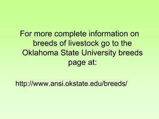 For more complete information on
breeds of livestock go to the
Oklahoma State University breeds
page at:
http://www.ansi.okstate.edu/breeds/
 
