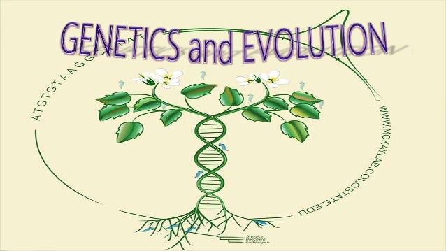 Image result for Genetics and evolution)
