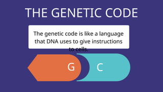 Genetic Language Genetics and Genes Science Presentation.pptx
