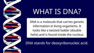 Genetics and Genes Science Presentation in Blue Orange Flat Graphic ...