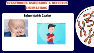 TRASTORNOS ASOCIADOS A DEFECTOS
ENZIMÁTICOS
Enfermedad de Gaucher
 