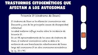 TRASTORNOS CITOGENÉTICOS QUE
AFECTAN A LOS AUTOSOMAS
Trisomía 21 (síndrome de Down)
El síndrome de Down es la alteración cromosómica más
frecuente y una de las principales causas de discapacidad
intelectual.
La edad materna influye mucho sobre la incidencia de
trisomía 21.
En un 4% aproximadamente de los casos de síndrome de
Down, el material cromosómico extra se debe a la
existencia de una translocación robertsoniana del brazo
largo del cromosoma 21 en otro cromosoma acrocéntrico
(p. ej., 22 o 14).
 