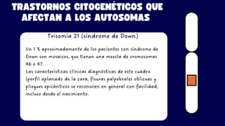 TRASTORNOS CITOGENÉTICOS QUE
AFECTAN A LOS AUTOSOMAS
Trisomía 21 (síndrome de Down)
Un 1 % aproximadamente de los pacientes con síndrome de
Down son mosaicos, que tienen una mezcla de cromosomas
46 o 47.
Las características clínicas diagnósticas de este cuadro
(perfil aplanado de la cara, fisuras palpebrales oblicuas y
pliegues epicánticos se reconocen en general con facilidad,
incluso desde el nacimiento.
 
