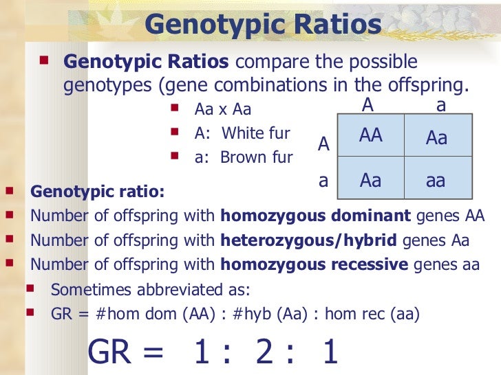 can aa and aa genotype give birth to as