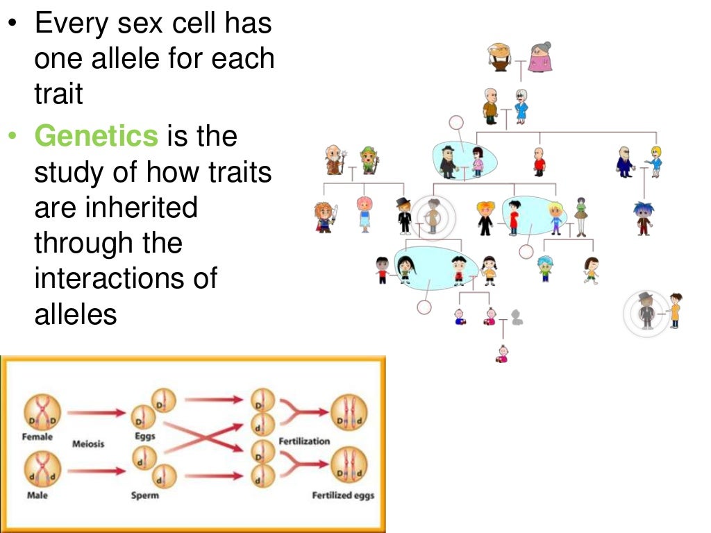 Genetics and Heredity