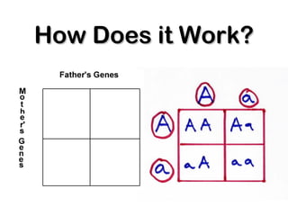 How Does it Work?How Does it Work?
 