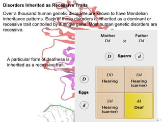 Disorders Inherited as Recessive Traits
Over a thousand human genetic disorders are known to have Mendelian
inheritance patterns. Each of these disorders is inherited as a dominant or
recessive trait controlled by a single gene. Most human genetic disorders are
recessive.
A particular form of deafness is
inherited as a recessive trait.
 