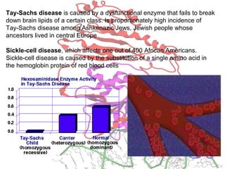 Tay-Sachs disease is caused by a dysfunctional enzyme that fails to break
down brain lipids of a certain class. Is proportionately high incidence of
Tay-Sachs disease among Ashkenazic Jews, Jewish people whose
ancestors lived in central Europe
Sickle-cell disease, which affects one out of 400 African Americans.
Sickle-cell disease is caused by the substitution of a single amino acid in
the hemoglobin protein of red blood cells
 