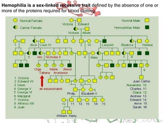 Hemophilia is a sex-linked recessive trait defined by the absence of one or
more of the proteins required for blood clotting.
 