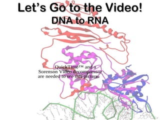 Let’s Go to the Video!Let’s Go to the Video!
DNA to RNADNA to RNA
QuickTime™ and a
Sorenson Video decompressor
are needed to see this picture.
 