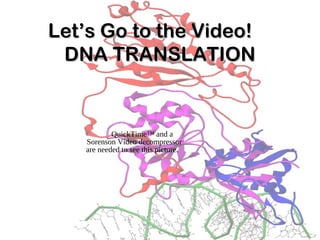Let’s Go to the Video!Let’s Go to the Video!
DNA TRANSLATIONDNA TRANSLATION
QuickTime™ and a
Sorenson Video decompressor
are needed to see this picture.
 