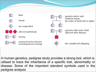 Comprehensive Overview of Genetics and Mendelian Inheritance Principles ...