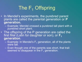P Generation Example Science GENETICS and heredity biology science education | PDF