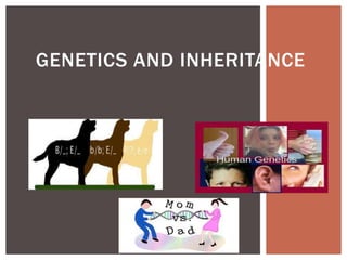 GENETICS AND INHERITANCE
 