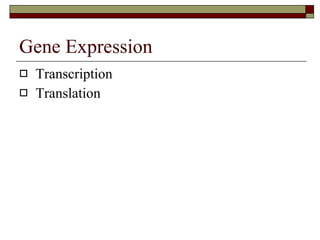 Gene Expression Transcription Translation 